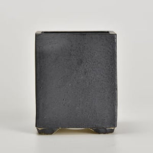 さつき 深山満月の盆栽を販売｜盆栽妙 – 盆栽妙 本店