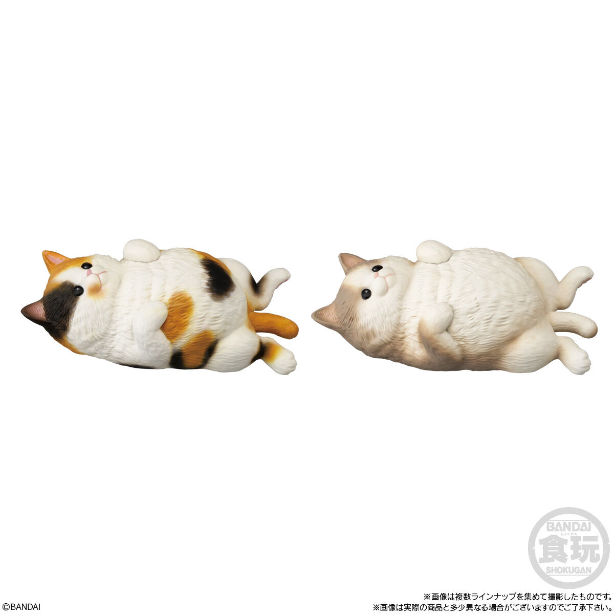 もっちりころりん♪ ねこ｜発売日：2025年2月17日｜バンダイ