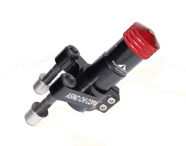 OverSuspension for the Ducati Small Hub Single Sided Swing Arm