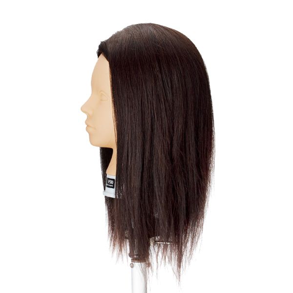 ユーロプレステージ カットウィッグ iP500(メイク無しタイプ・人毛100