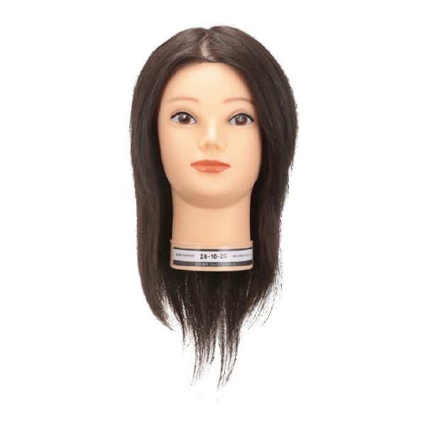 国家試験 | 美通販【公式】理美容プロ向けの卸通販