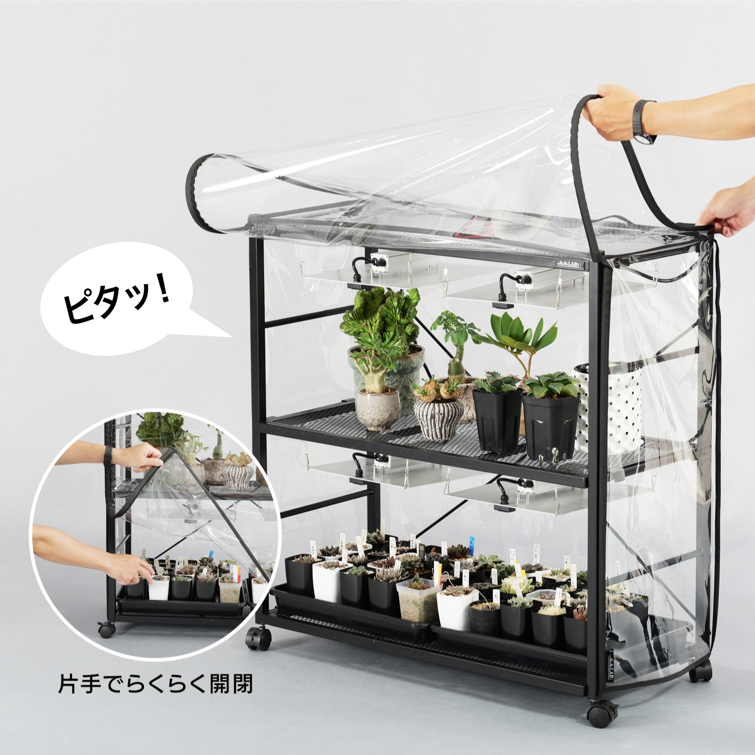 ビザールプランツラック ビニール温室カバー LPP-V800 | BIBILAB®