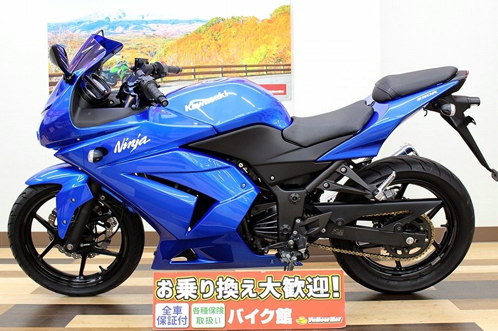 お値打ち250㏄フルカウルスポーツ！青いイナズマが入荷【KAWASAKI
