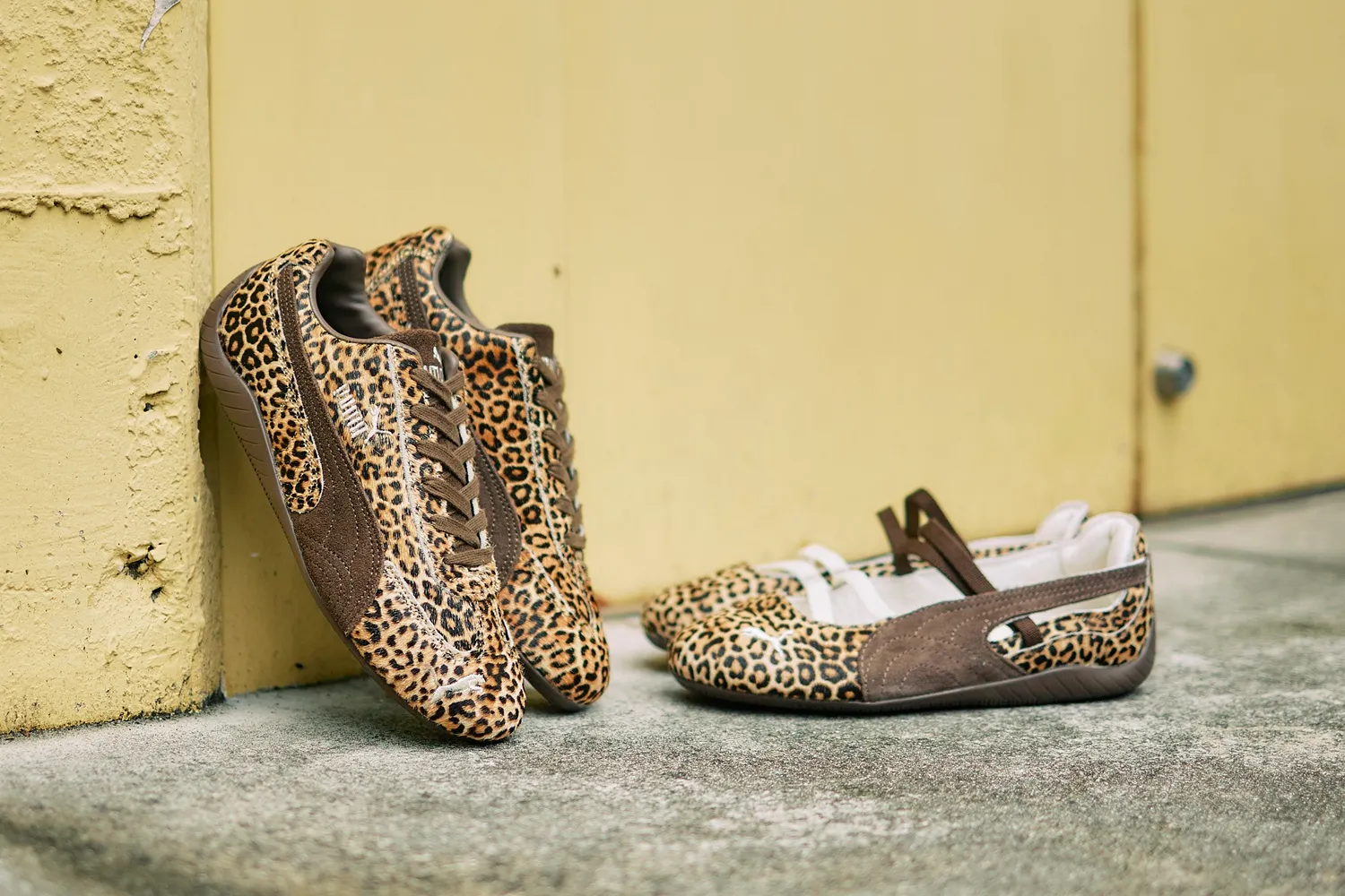 SPEEDCAT WILD PACK｜BILLY'S ENT 公式通販