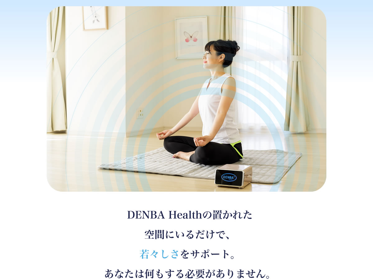 DENBA Health Standard（デンバヘルス スタンダード）ベーシックモデル