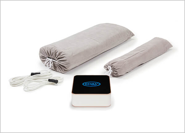 DENBA Health Charge（デンバヘルス チャージ）エントリーモデル|正規