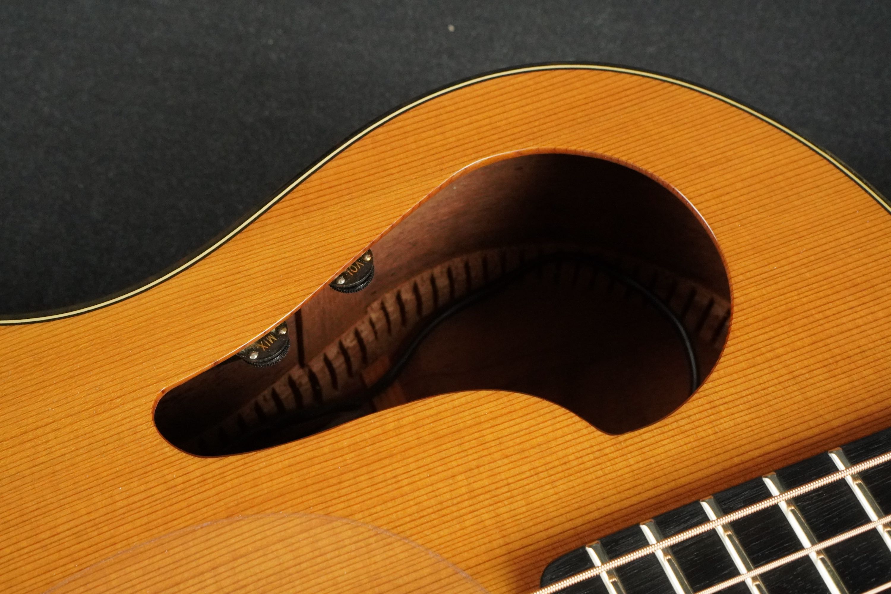 Tacoma CM28C | 楽器詳細ページ [Blue-G]