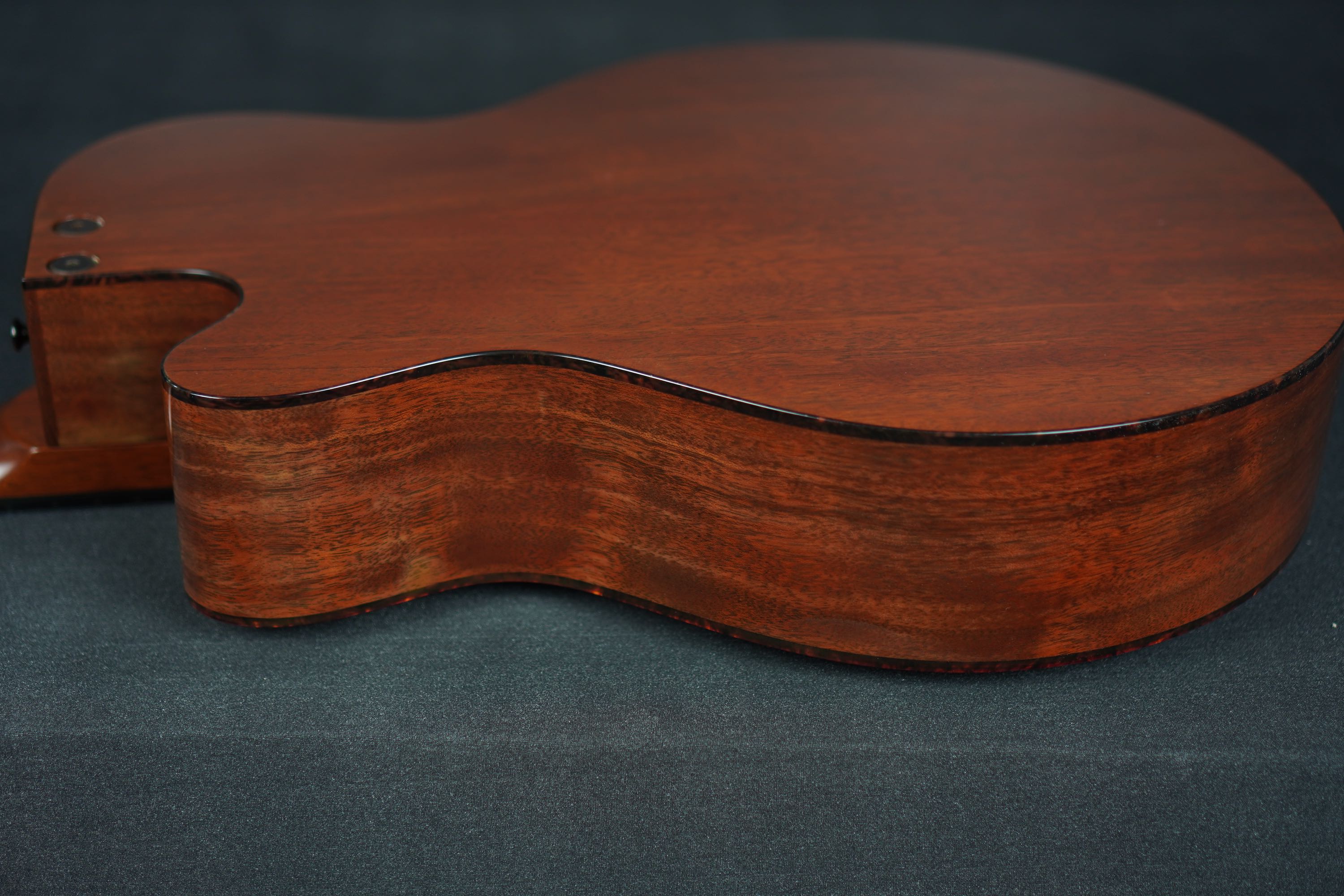 Tacoma CM28C | 楽器詳細ページ [Blue-G]