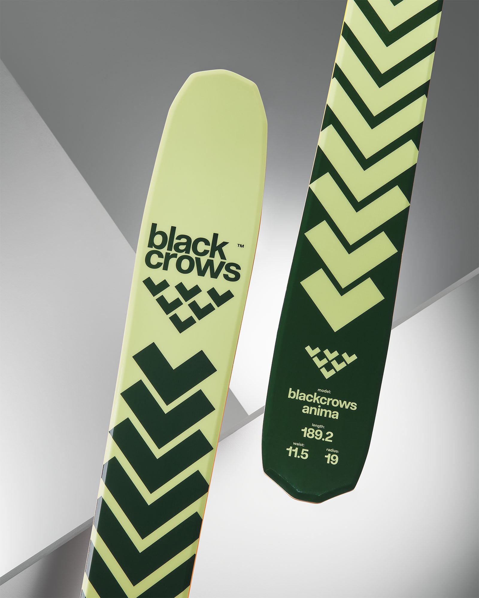 Anima – blackcrows