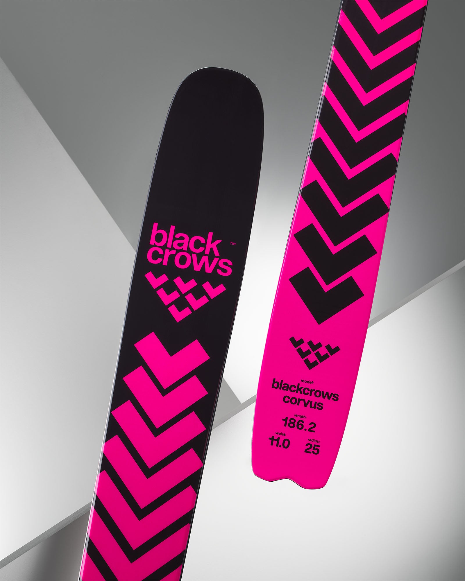 Corvus – blackcrows