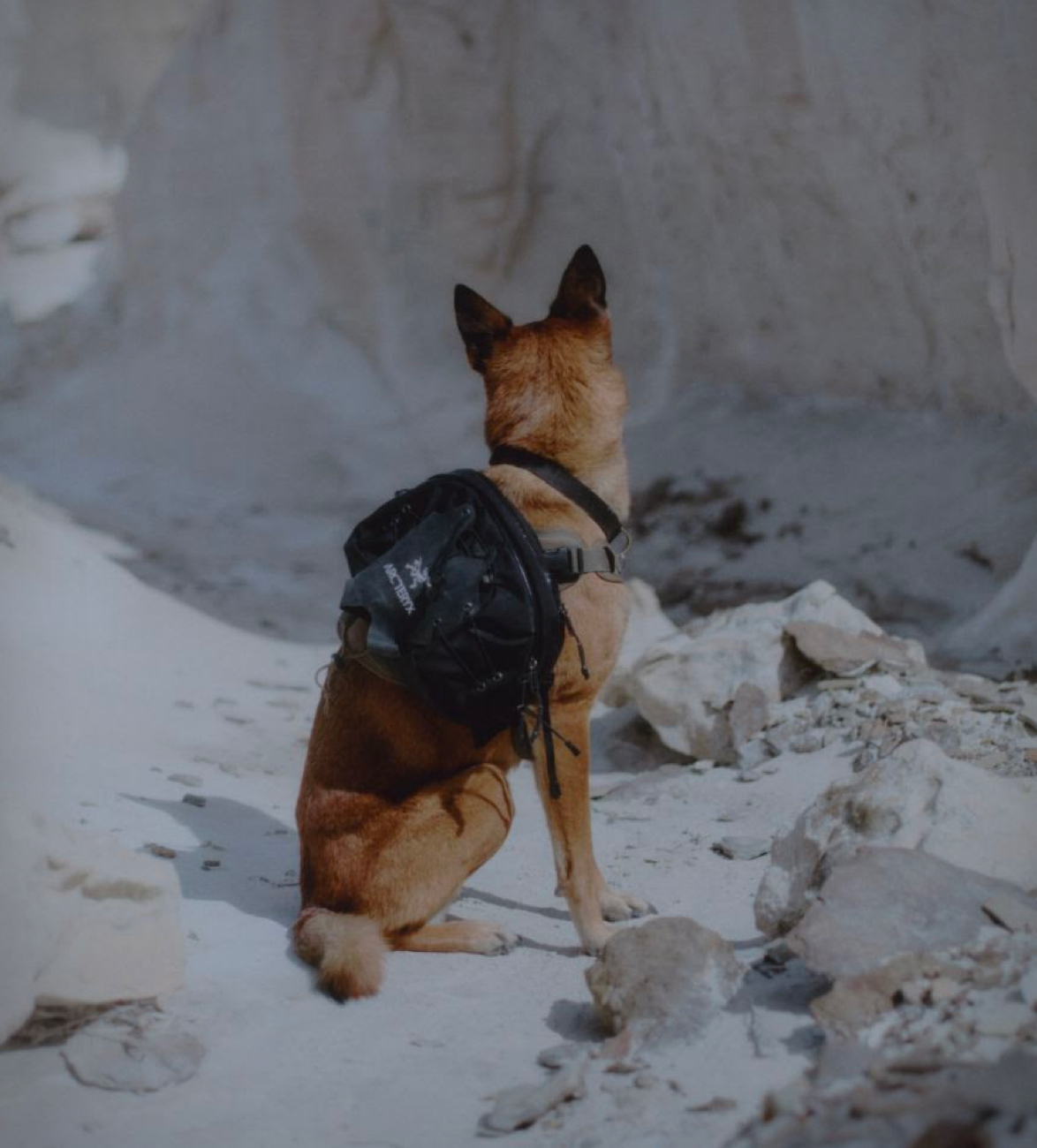 Arcteryx Q5 Waistpack