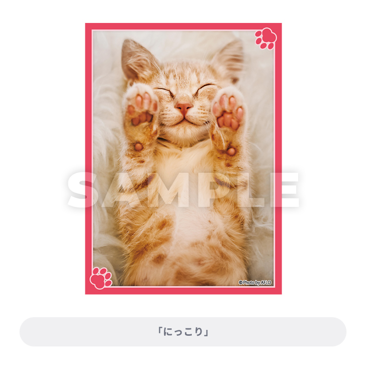 ブロッコリートレカアイテムくじEX「猫これくしょん」｜ブロッコリー