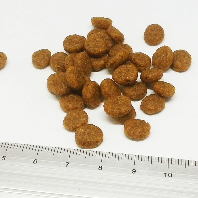 ブリスミックス ドッグフード サーモンの正規品通販：無添加の