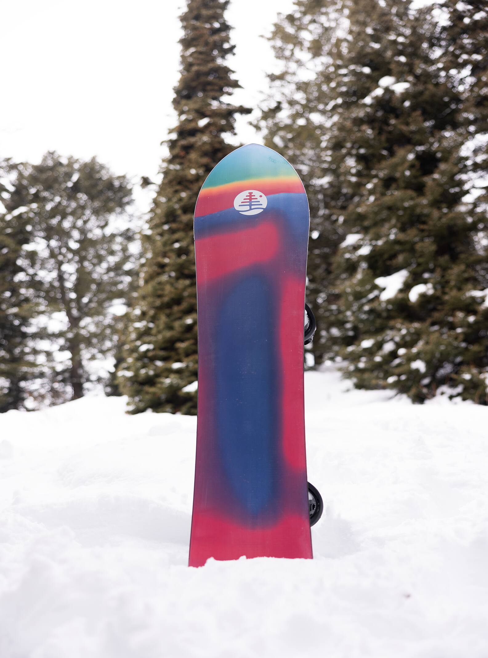 Burton Family Tree 3D Channel Surfer Flat Top Snowboard | Burton