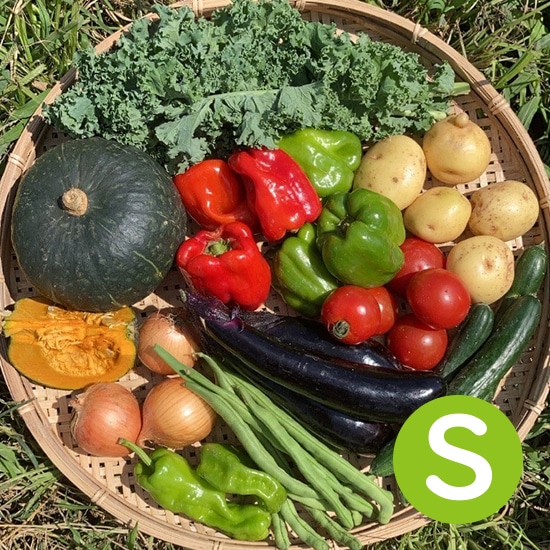 GAIAネット[※]【産地直送】【送料込み（別途地域あり）】長野県