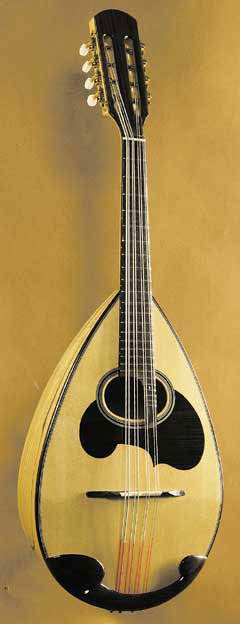 鈴木マンドリン、マンドラの販売～SUZUKI,ENA【ガッキコム】