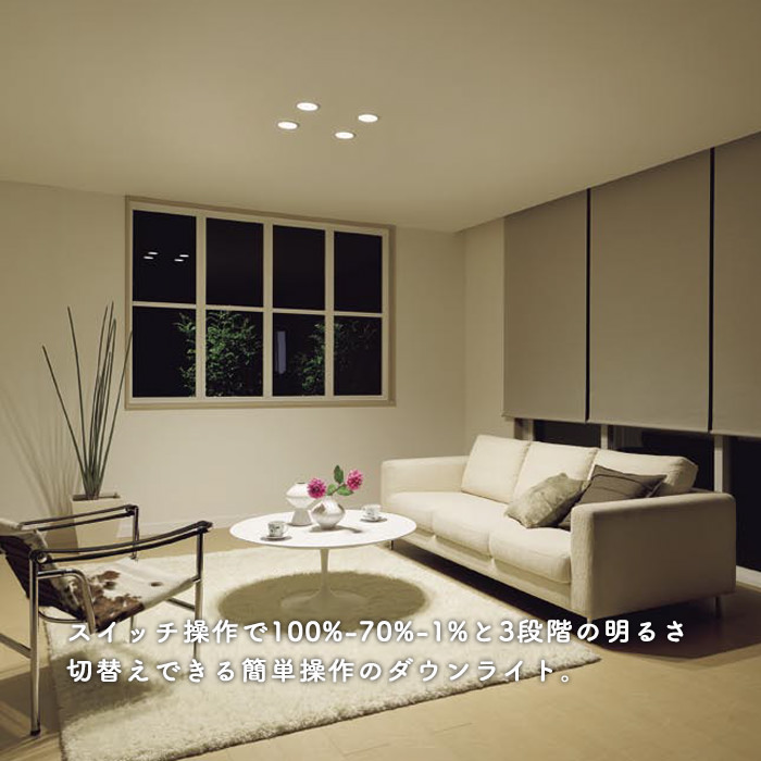 ダウンライト Φ100 100W相当・電球色 | 段調｜照明のライティング