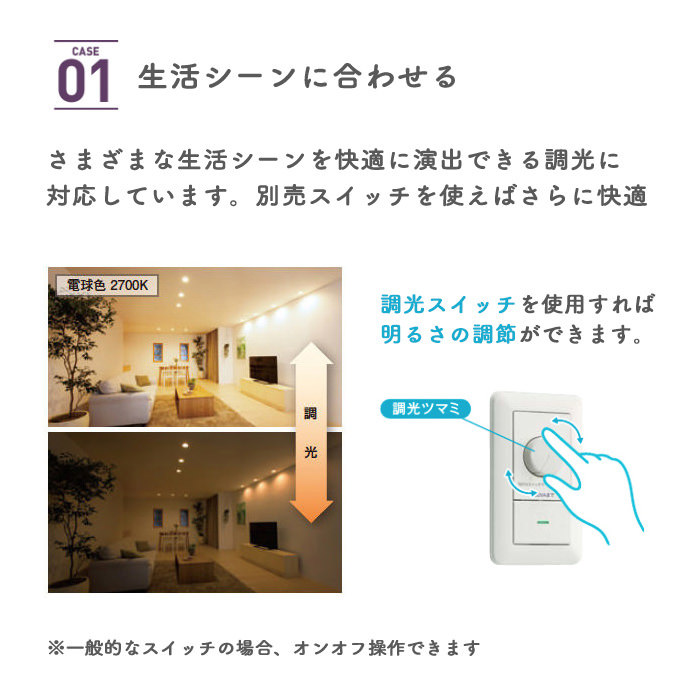 ユニバーサルダウンライト LED 60W x 2灯相当 | マットブラック｜照明