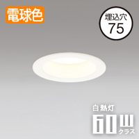 バスルーム ダウンライト Φ75mm・60W｜昼白色｜照明のライティング