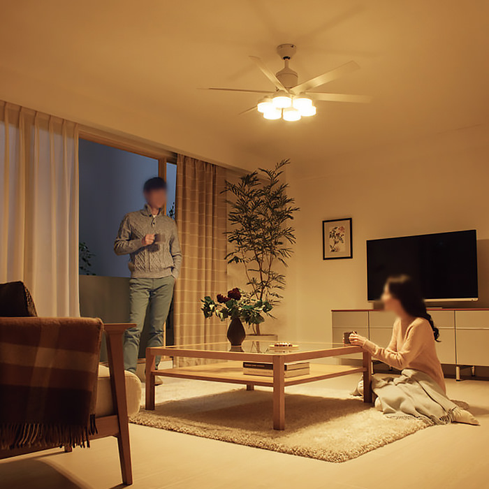 シーリングファンライト｜10畳・6枚羽根・DCモーター・傾斜対応