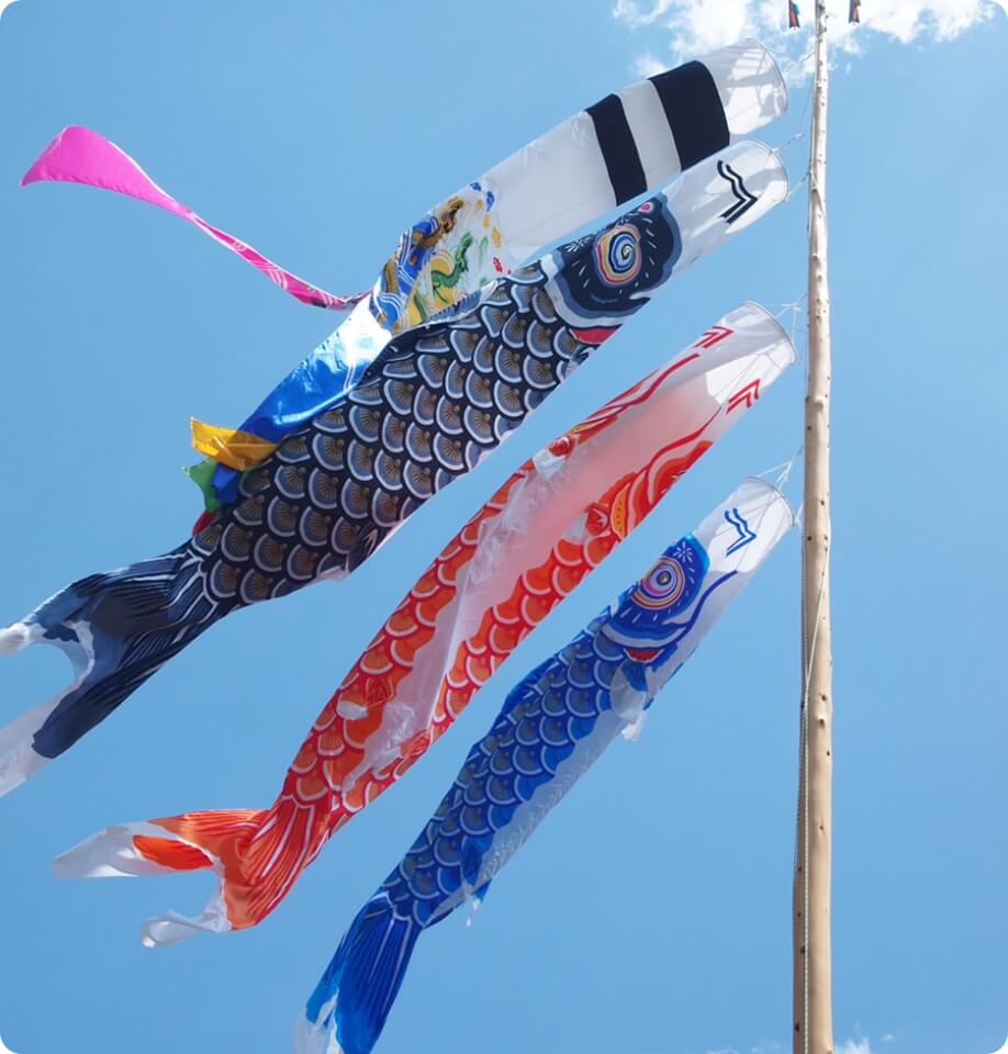 鯉のぼり｜大分県のひな人形・五月人形は人形会館ガリバー