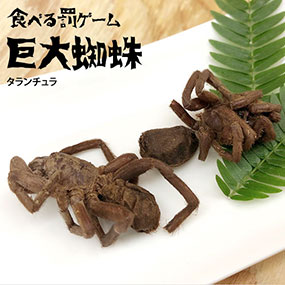罰ゲーム食べる昆虫 巨大蜘蛛(タランチュラ)｜おもしろ雑貨 景品特集