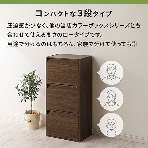 カラーボックス 3段 扉付き 本棚 ラック 扉付き収納 おしゃれ ぼん家具