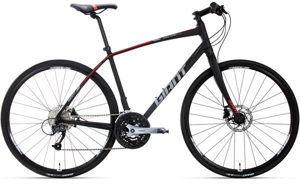 2019 GIANT Bicycles | ESCAPE RX 2 (2020 NEW)