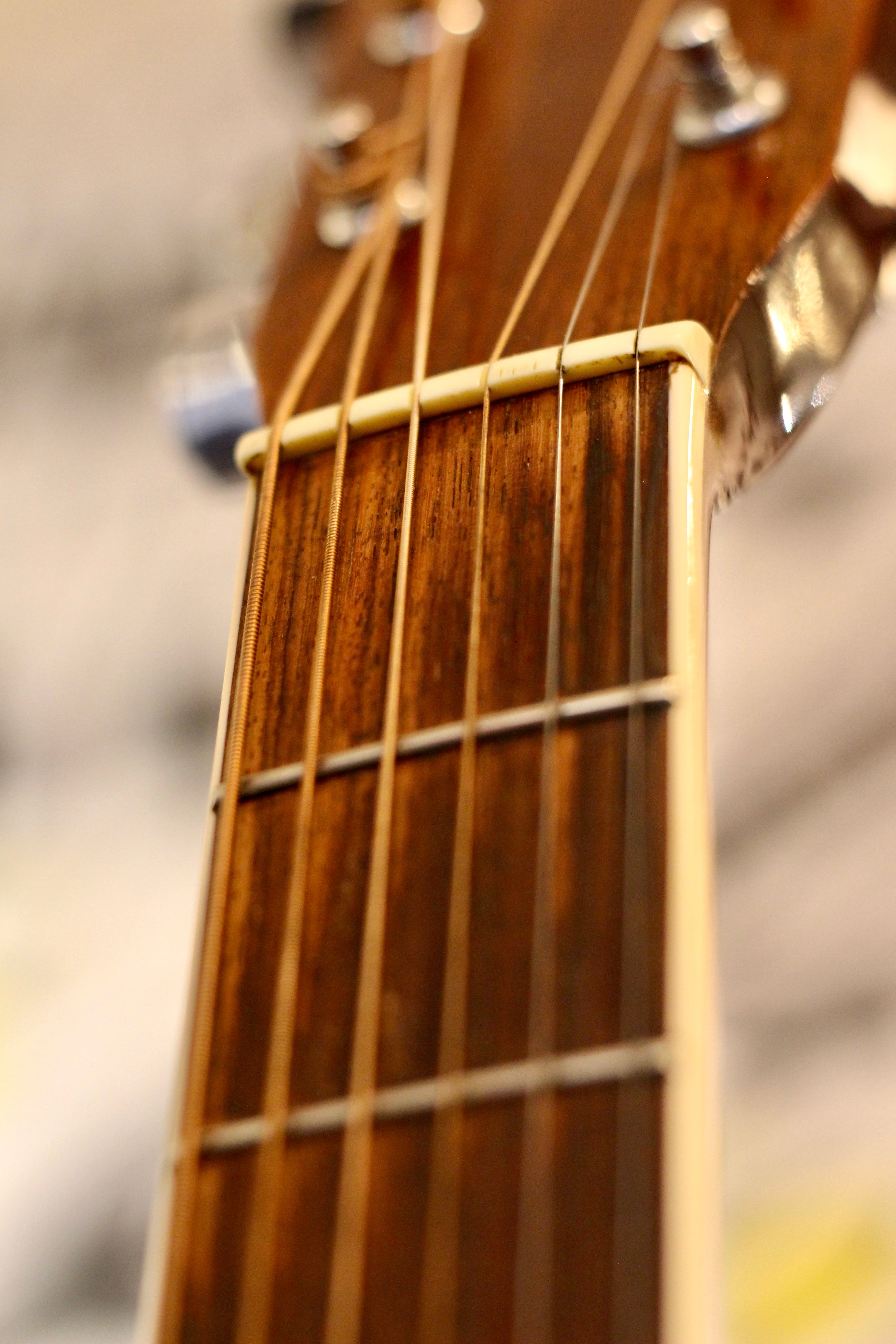 Morris MD-506 Acoustic Guitar – Granata Music Ltd