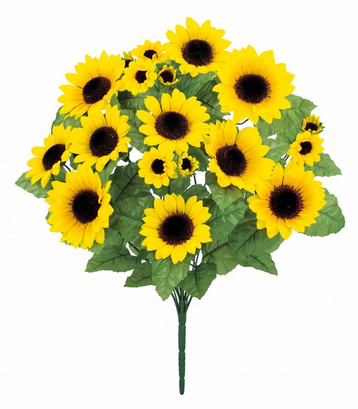 カテゴリ「ヒマワリ」商品一覧ページ | 株式会社ドガ