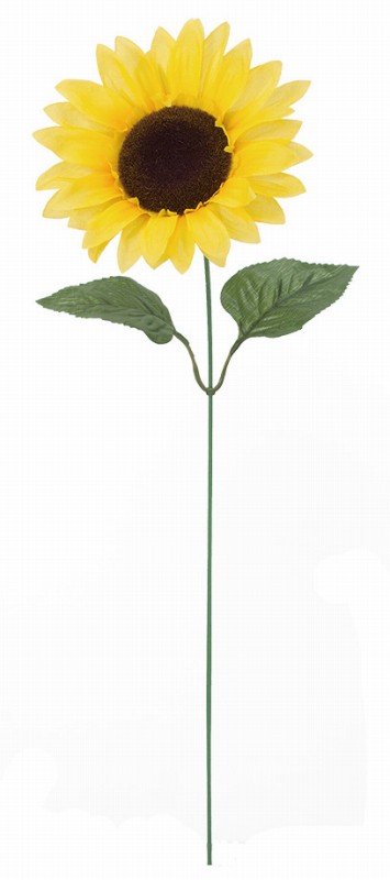 カテゴリ「ヒマワリ」商品一覧ページ | 株式会社ドガ