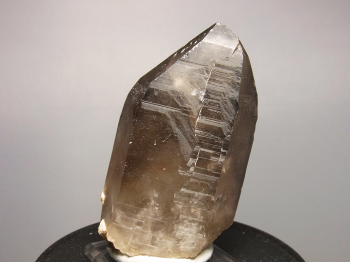 滋賀県田上山産 煙水晶 (Smoky Quartz / Japan) - 鉱物標本販売店