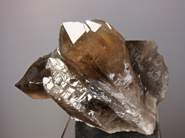 滋賀県田上山産 煙水晶 (Smoky Quartz / Japan) - 鉱物標本販売店