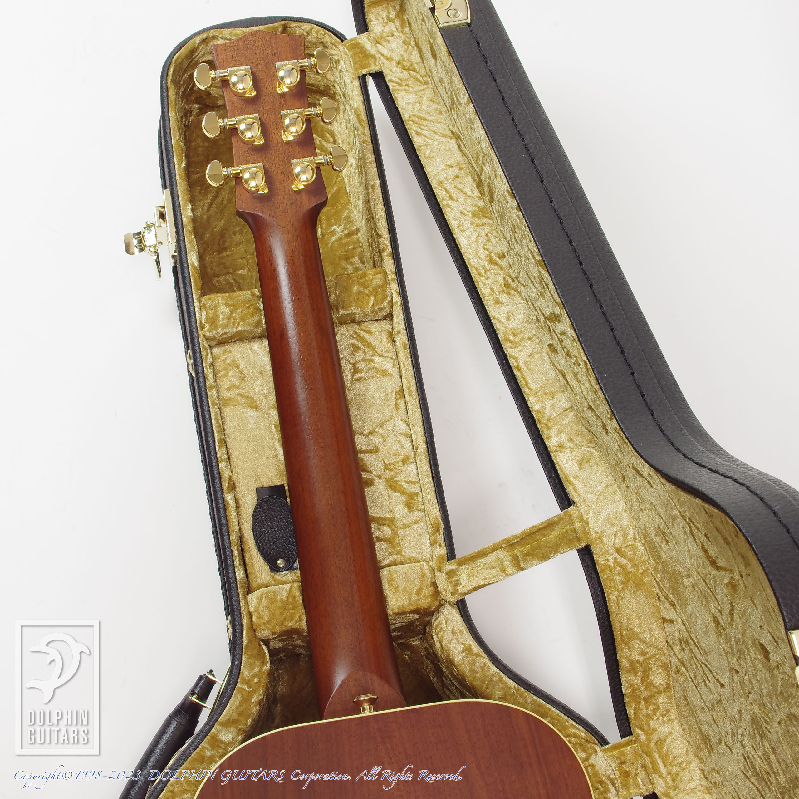 MATON EMD6 (Mini Maton Diesel Special)|ドルフィンギターズ