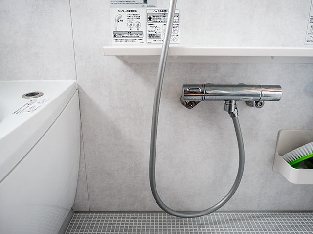 サザナの不満点もいくつか… | ｼｽﾃﾑﾊﾞｽ | Donata ?