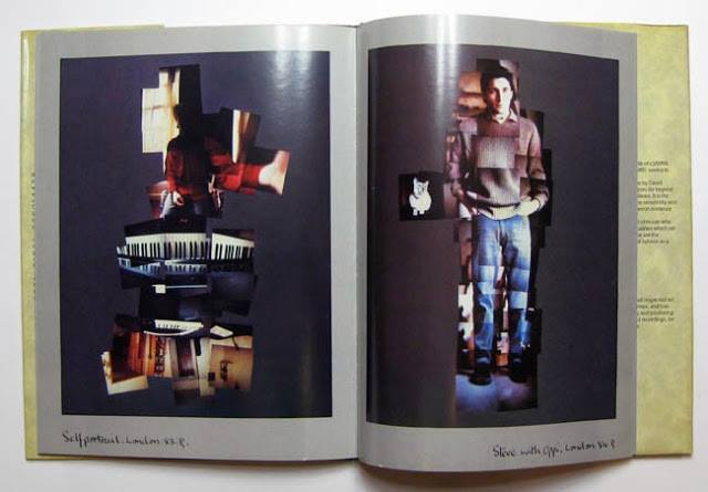 Perspectives - Polaroids 82-84 - David Sylvian : Expect Everything