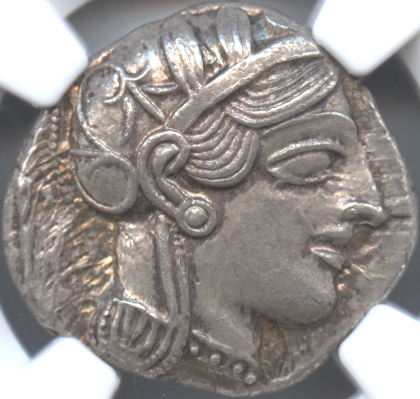 ダルマコインショップ / 古代ギリシャ アッティカ地方アテネ テトラ