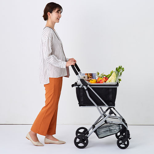 EcoCaショッピングカート マイバッグ付 プライムダイレクト 歩行関連