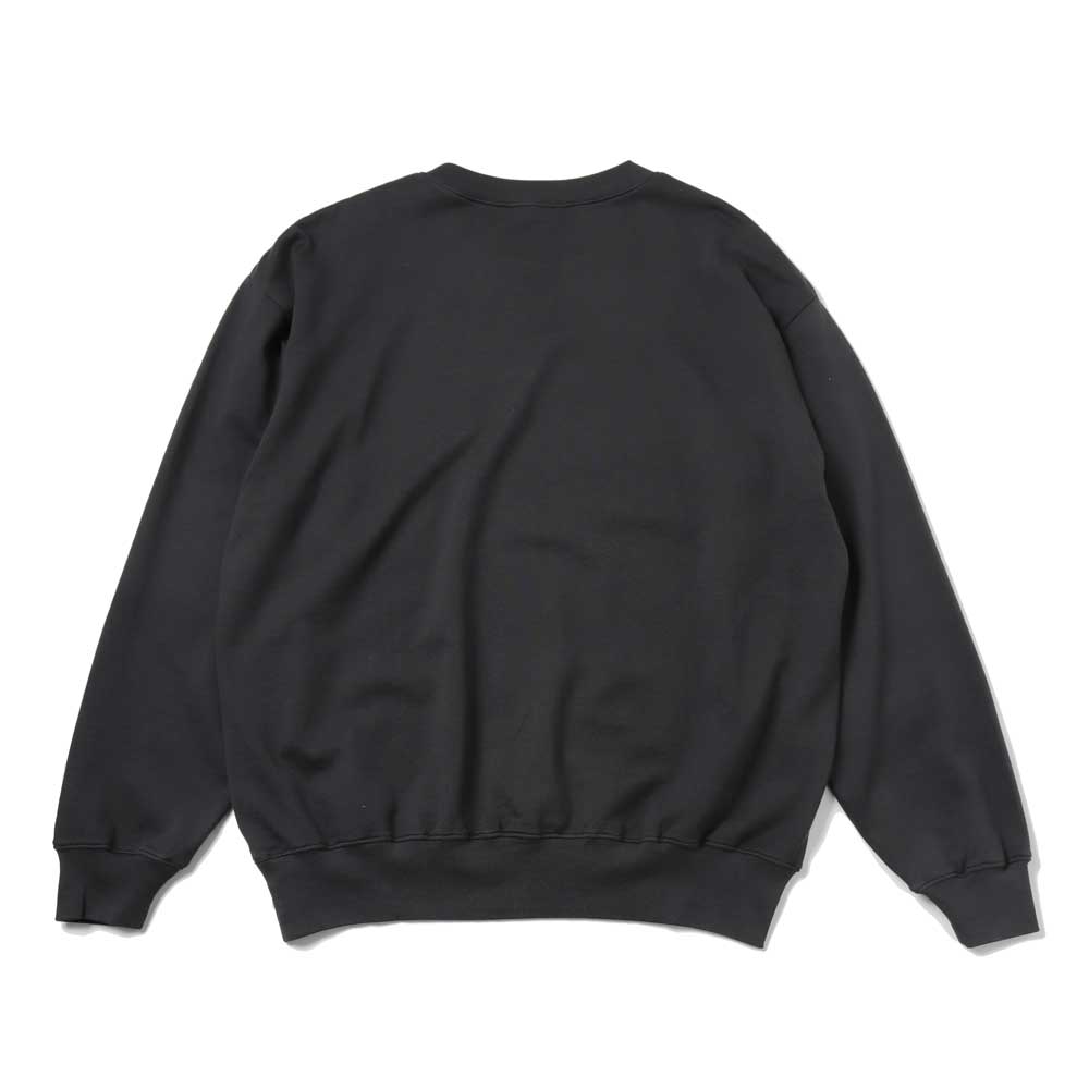 AURALEE(オーラリー) SUPER HIGH GAUGE SWEAT P/O A25SP03CU