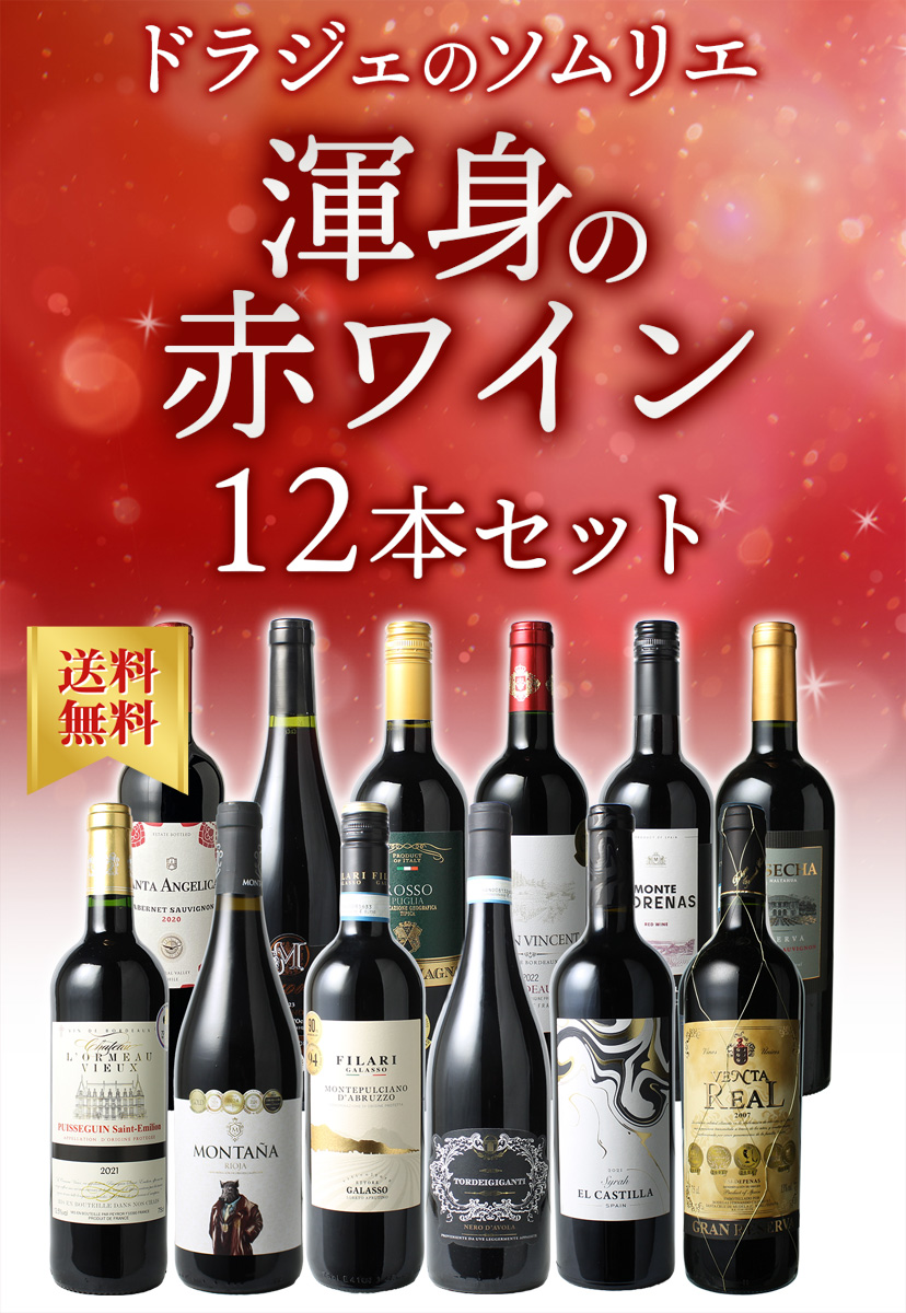 送料無料】ワインセット 渾身 赤ワイン 12本 セット ボルドー フランス