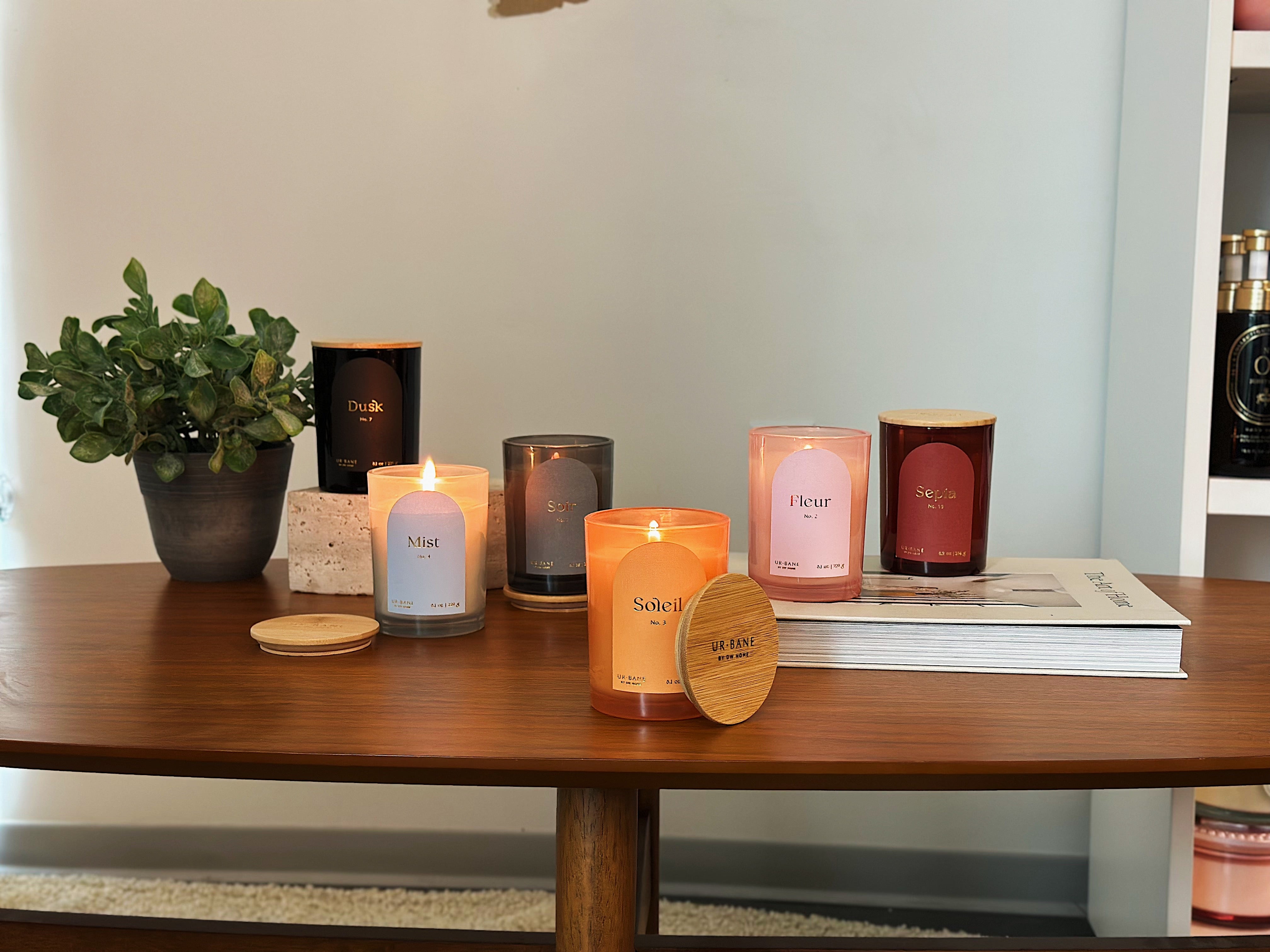 Midnight Suede | Reed Diffuser – DW Home Candles