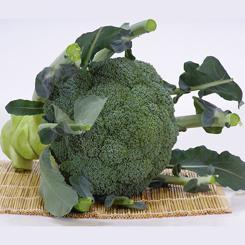 サミット (BL-648)[ブロッコリー] - e-種や｜国内最大級の野菜種・花種