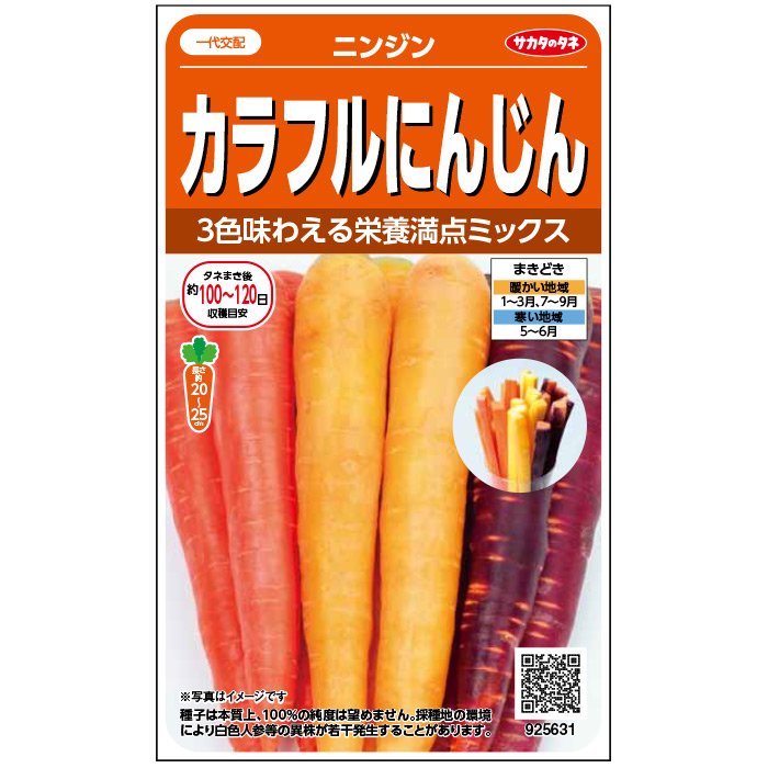 カラフルにんじん[人参] - e-種や｜国内最大級の野菜種・花種・苗