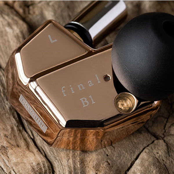 final B1 【FI-B1BDSSD】 – e☆イヤホン