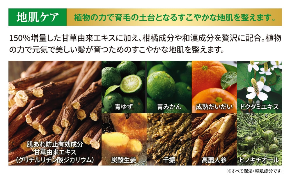 柑気楼 薬用モイストシャンプープレミアム 詰替用500g: ヘアケア／は