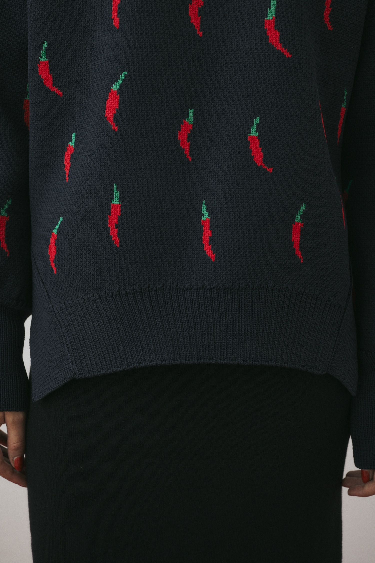 HeRIN.CYE | Chili pattern knit pullover (ニット ) |SHEL'TTER WEBSTORE