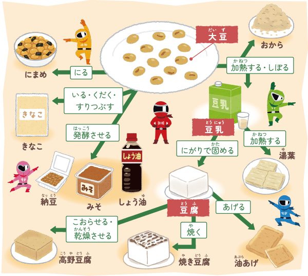 食育特集】食材を知ろう！大豆からできる食品は？｜地球にやさしい