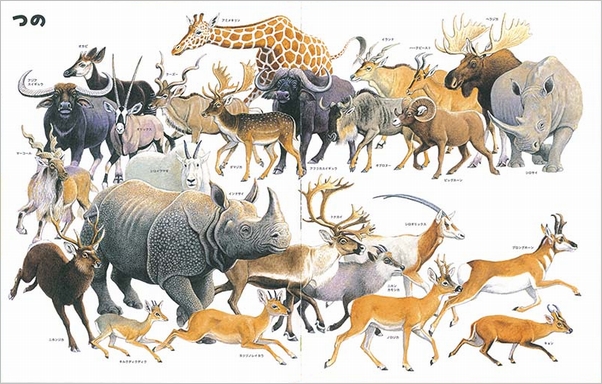 いきものづくし ものづくし(1) | 松岡 達英,田中豊美,大田黒 摩利 | 2