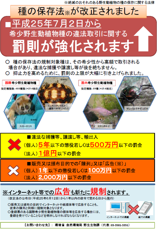 第222回 希少種の違法取引にH25年7月2日から罰金1億円！（環境省自然