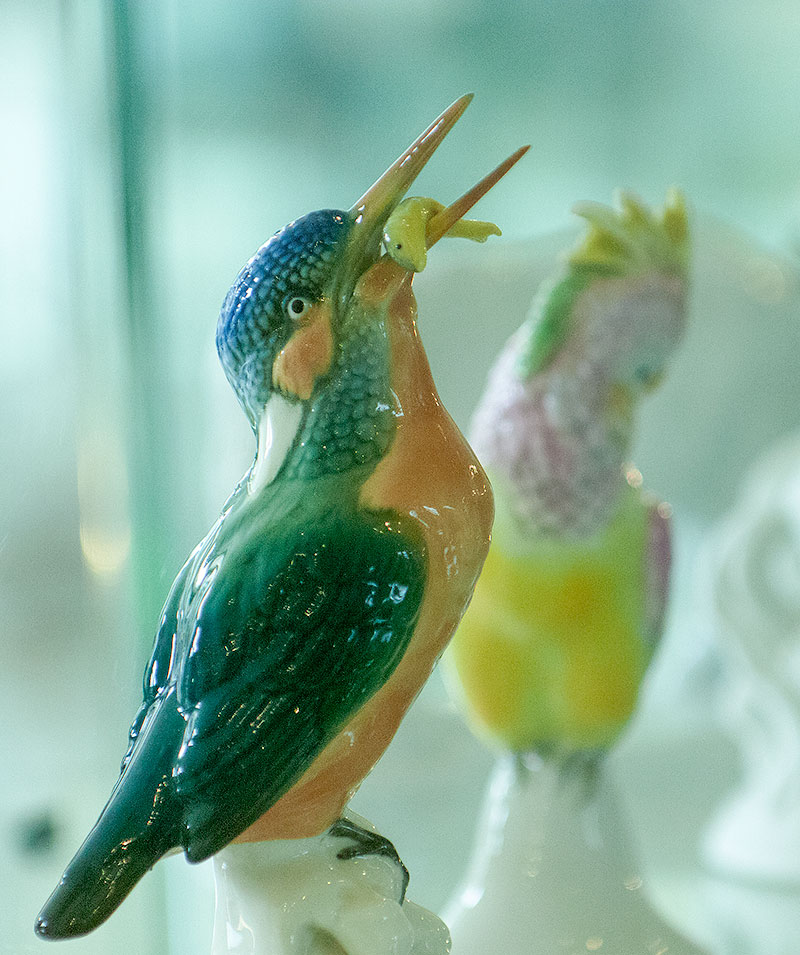 カワセミ・グッズ掲示板